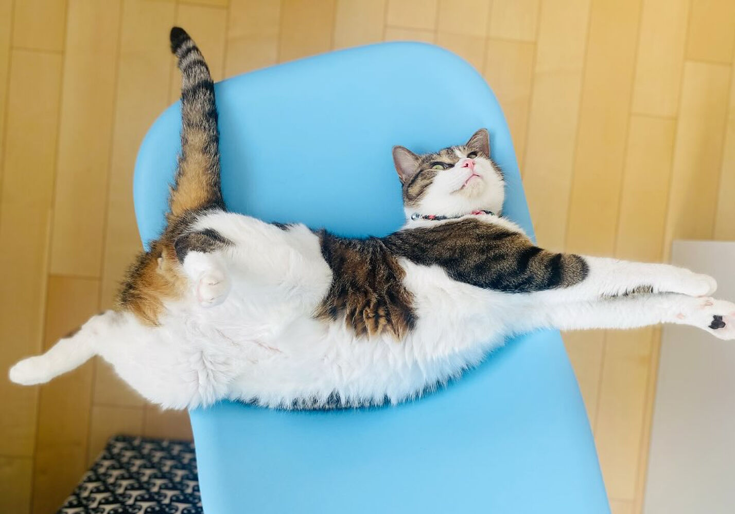 ブログ