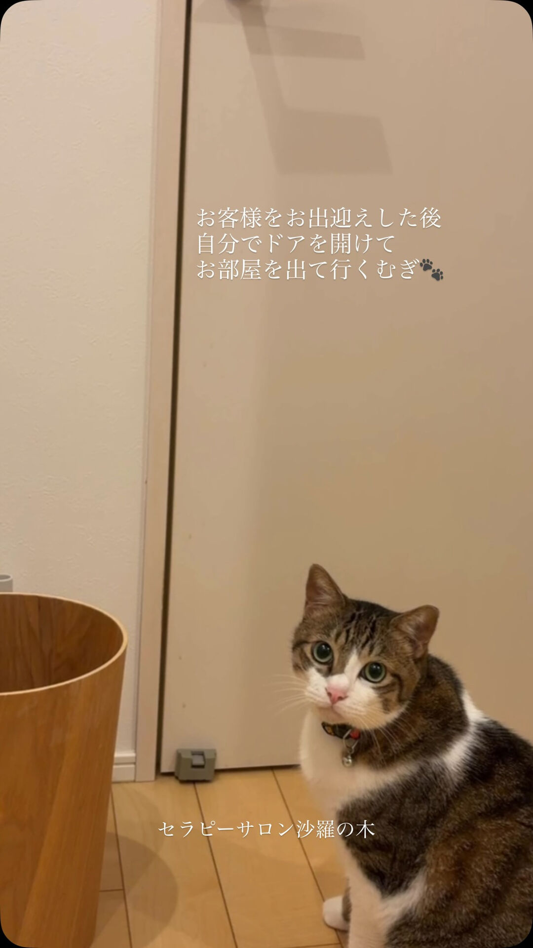ブログ