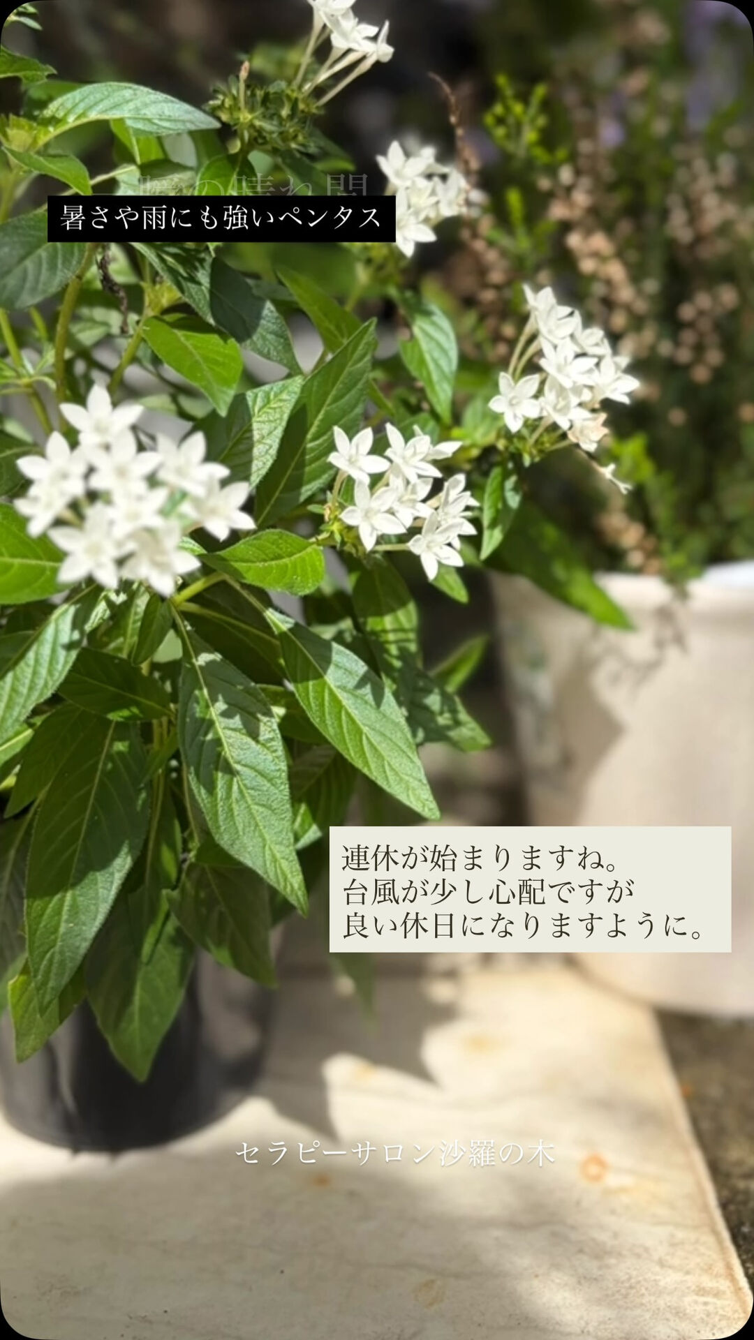ブログ