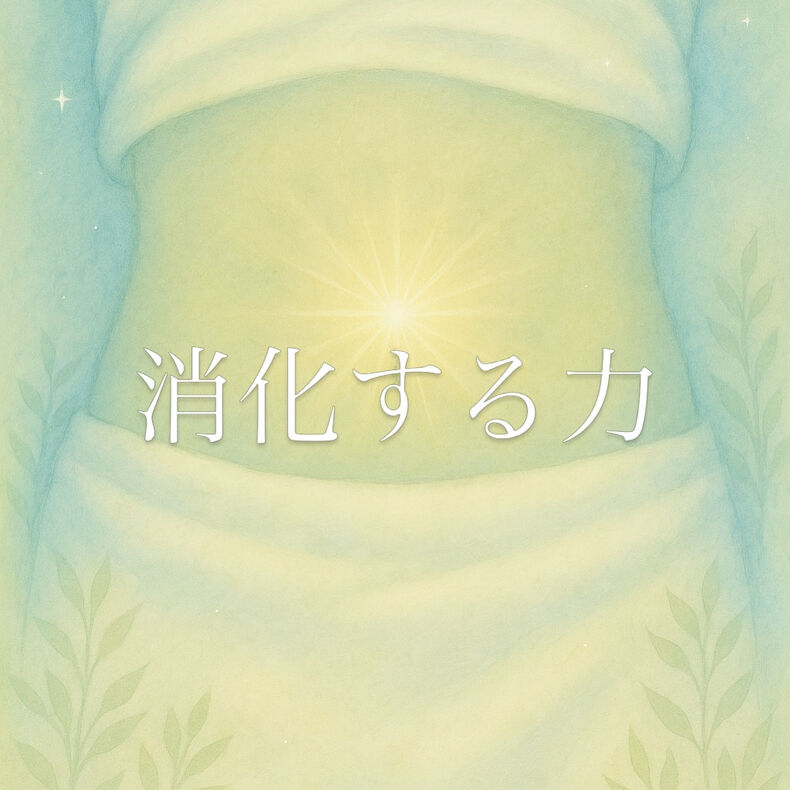 画像5137：消化する力