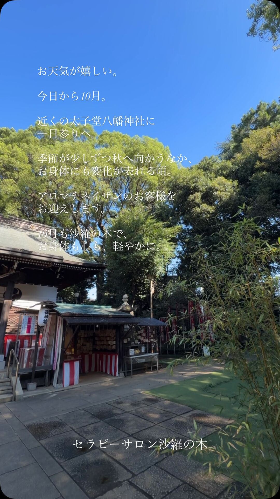 ブログ